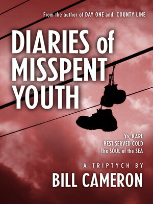 cover image of Diaries of Misspent Youth
